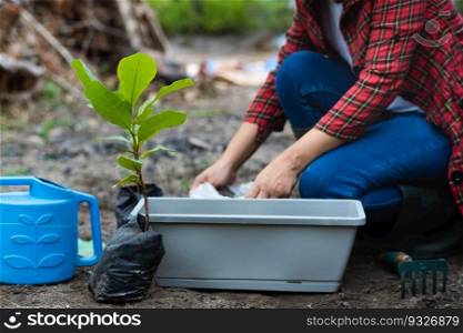 Woman’s hands transplanting plant from a bag of seedlings to a new pot. Female gardener planting seedlings in pots with soil. Gardening and growing vegetables at home.