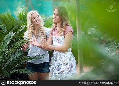 Woman shopping for plants in nursery