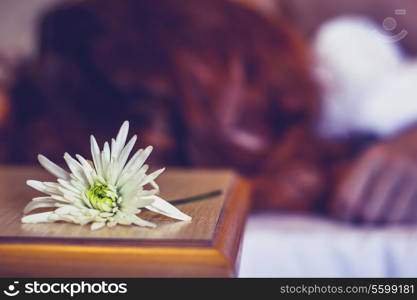 Woman sleeping with flower next to her head