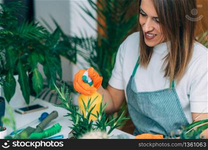 Woman Spraying Potted Plants on the Table