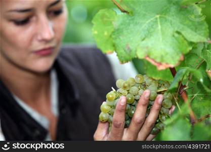 Woman stood by grape vine