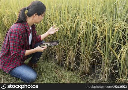woman studying different plants