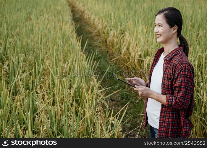 woman studying different plants with tablet