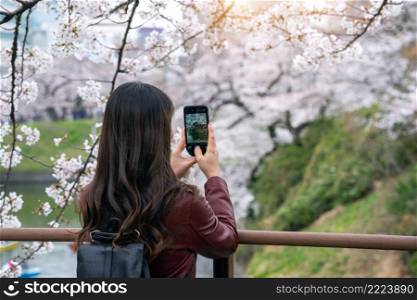 Woman take a photo at Cherry blossom along river in Tokyo, Japan.