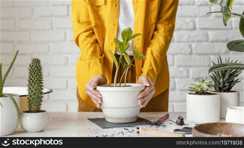 woman taking care plant pot. High resolution photo. woman taking care plant pot. High quality photo