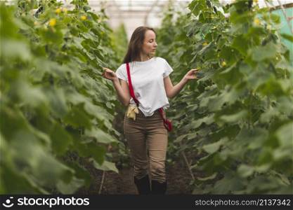 woman taking care plants greenhouse