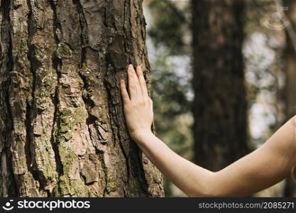 woman touching tree with hand