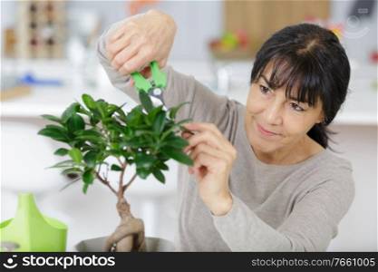 woman trimming a bonsai tree