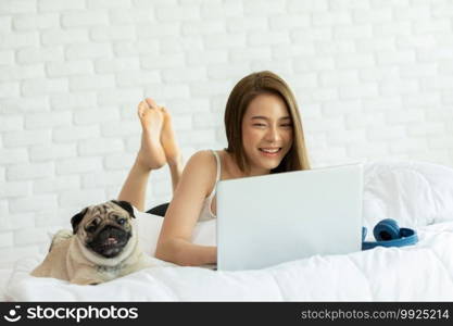 Woman typing and working on laptop with dog Pug breed lying on bed and looking on screen feeling happiness and comfortable at home,Friendly Dog at home Concept