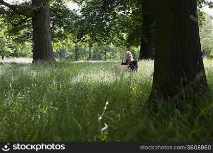 Woman Using a Laptop in a Meadow