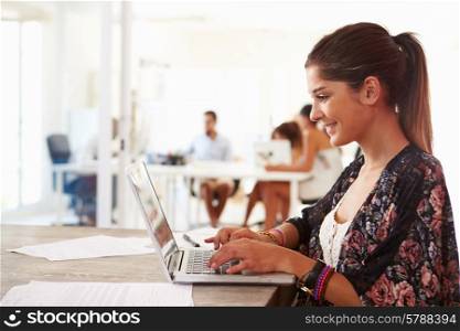 Woman Using Laptop In Modern Office Of Start Up Business