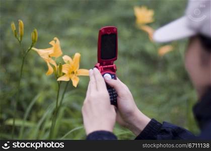 Woman using mobile phone to take a photo of a flower
