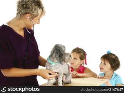 Woman veterinarian giving poodle a check-up while curious children look on.