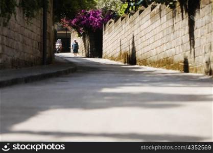 Woman walking in a street, Sorrento, Sorrentine Peninsula, Naples Province, Campania, Italy