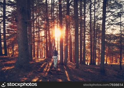 Woman walking in the forest, enjoying beautiful view on bright sun rays break through tree trunks, amazing autumn nature, peaceful walk in fall forest