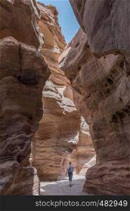 woman walking in the red canyon in israel. woman in the red canyon