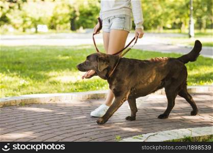 woman walking with her dog walkway park. Resolution and high quality beautiful photo. woman walking with her dog walkway park. High quality beautiful photo concept