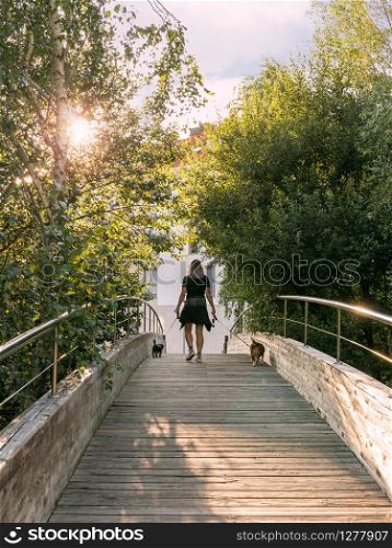 Woman walking with two dogs on a bridge. Exercise walking