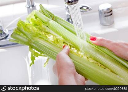 Woman Washing Celery in the Kitchen Sink.