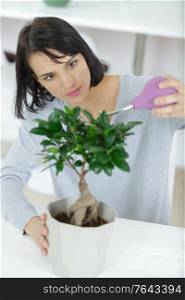 woman watering carefully a bonsai tree