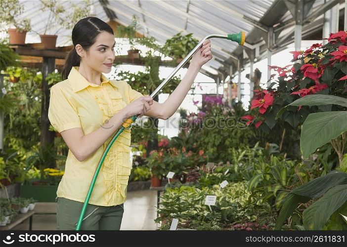 Woman watering plants in a garden center