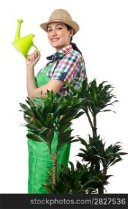 Woman watering plants on white
