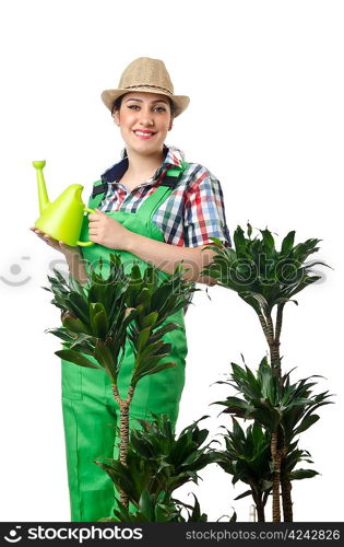 Woman watering plants on white