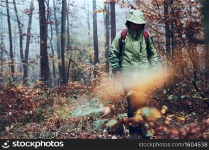 Woman with backpack wandering around a forest on autumn cold day. Back view of middle age active woman going along forest path actively spending time. Woman with backpack wandering around a forest on autumn cold day