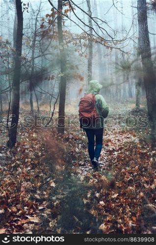 Woman with backpack wandering in a forest on autumn cold day. Back view of middle age active woman going along forest path actively spending time. Woman with backpack wandering around a forest on autumn cold day