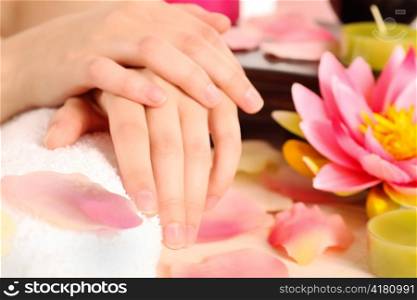 Woman with beautiful hands after a manicure