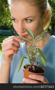 Woman with herb plant