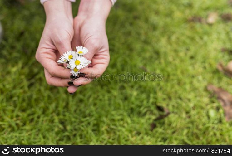 woman with little white flowers near grass land. Resolution and high quality beautiful photo. woman with little white flowers near grass land. High quality and resolution beautiful photo concept