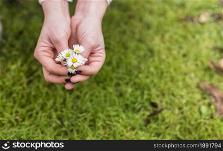 woman with little white flowers near grass land. Resolution and high quality beautiful photo. woman with little white flowers near grass land. High quality and resolution beautiful photo concept