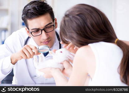 Woman with pet rabbit visiting vet doctor. The woman with pet rabbit visiting vet doctor