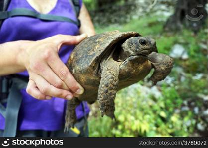 Woman with turtle in the forest in Turkey