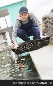 woman working at oyster fish farm