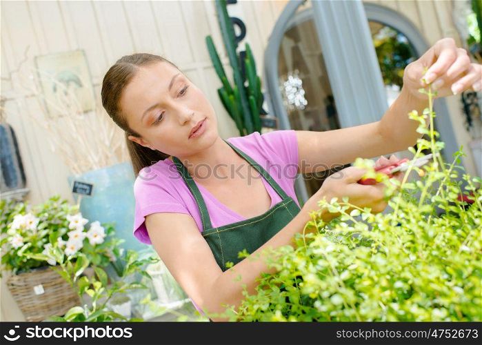 Woman working in a plant shop