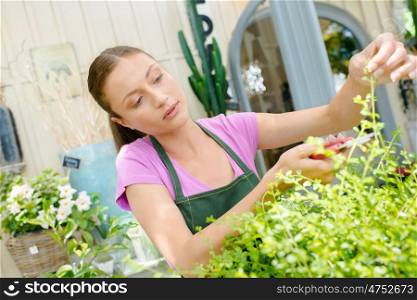 Woman working in a plant shop