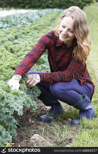 Woman Working In Field On Organic Farm