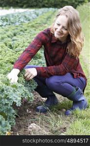 Woman Working In Field On Organic Farm