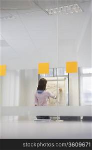 Woman working in office at presentation board, back view