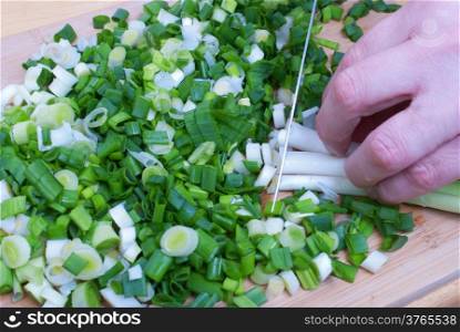 Woman working in the kitchen chopping up the vegetables. Female slicing spring onions for salad. Close up chef cutting onions