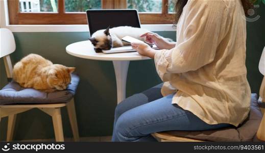 woman working on phone from home with cat. cat asleep on the laptop keyboard. assistant cat working at Laptop.