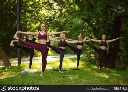 Women doing stretching exercise, group yoga training on the grass. Meditation, class on workout outdoors, relaxation. Women doing stretching exercise, group yoga