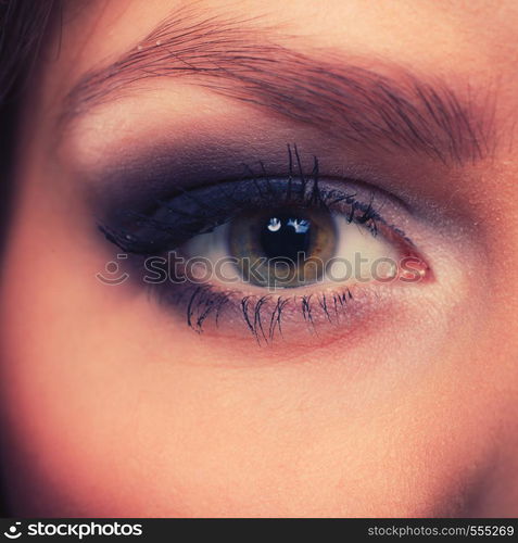 Women facial look. Close up of pretty female face with beauty eyes make up. Dark eyeshadow and long black lashes.. Close up of woman eyes make up.