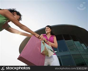 women fighting for shopping bag