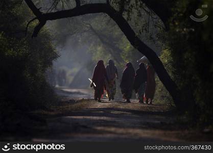 Women going for daily chores, Reflection, Keoladeo Ghana National Park, Bharatpur, Rajasthan, India. Women going for daily chores, Reflection, Keoladeo Ghana National Park, Bharatpur, Rajasthan, India.