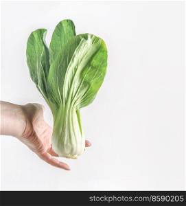 Women hand holding whole raw pak choi at white background. Healthy green asian vegetable ingredient for cooking. Front view.