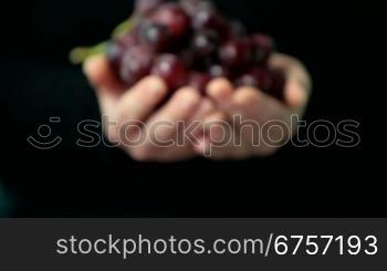 Women hands holding a nice fresh red grapes on a black background. DoF