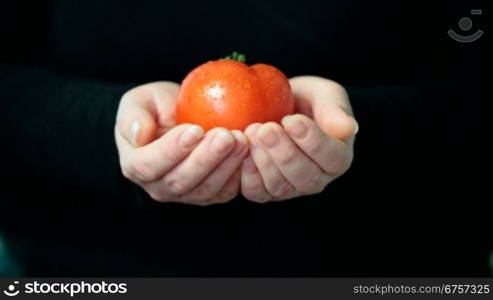 Women hands holding a nice red fresh tomato on a black background. DoF